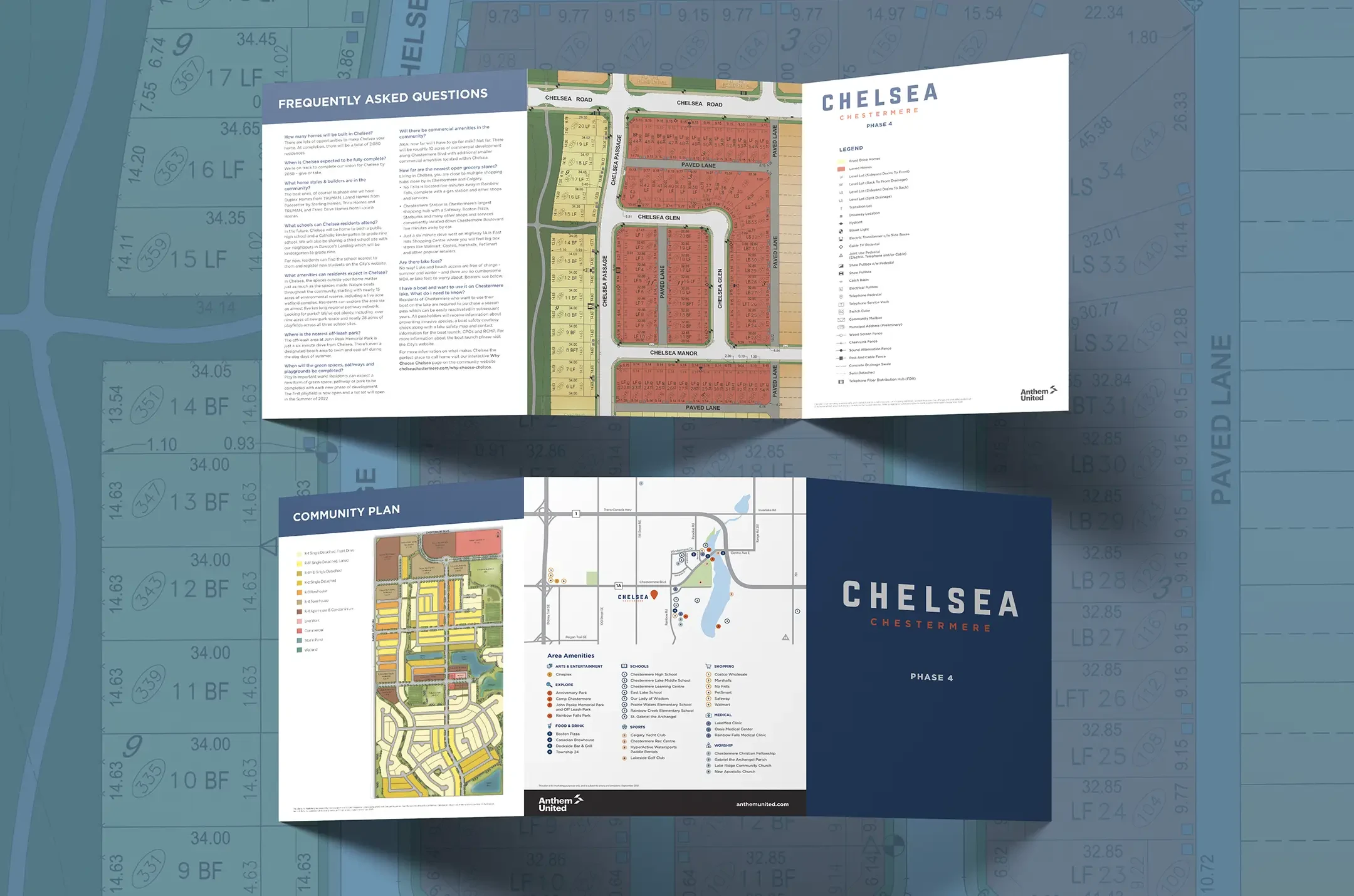 Chelsea tri-fold brochure designed for Anthem