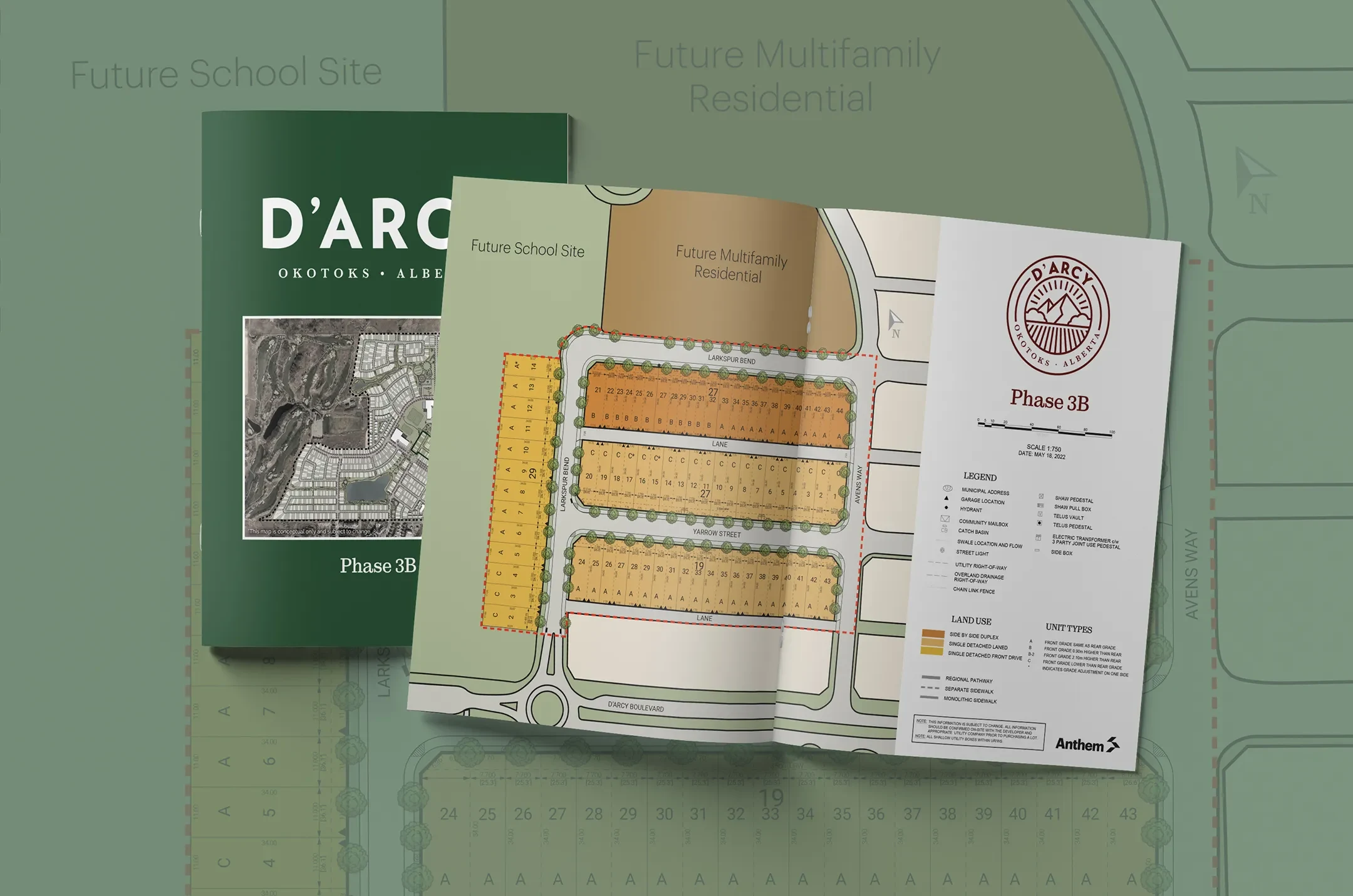 D Arcy brochure designed for Anthem